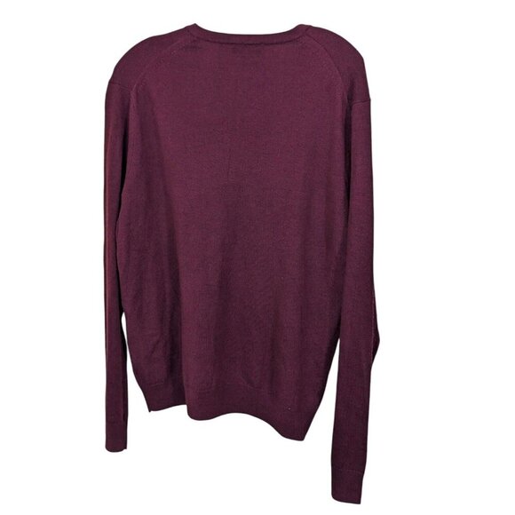 Express Extra Fine Merino Wool NEW V Neck Sweater Mens L Burgundy Pullover Knit - Picture 2 of 5